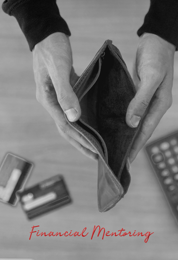 Financial Mentoring